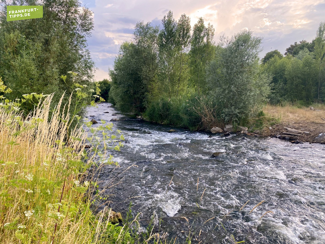 Wasserschnellen der Nidda bei Nied